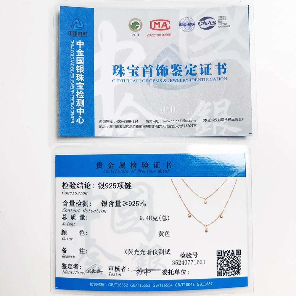 925 Sterling Silver Double Layer Necklace - Glamora