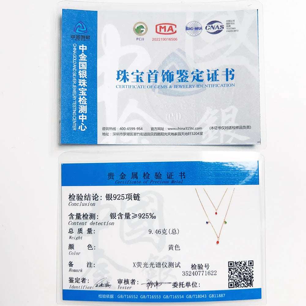 925 Sterling Silver Double Layer Necklace