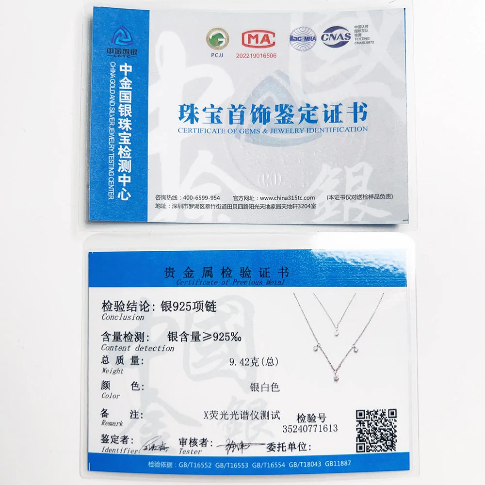 925 Sterling Silver Double Layer Necklace